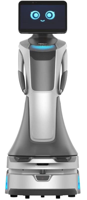 Bot Nova — robot d'accueil et livraison